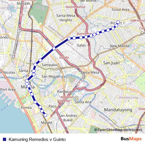 Kamuning Remedios v Guinto bus Line Map