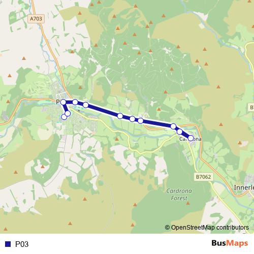 P03 bus Line Map