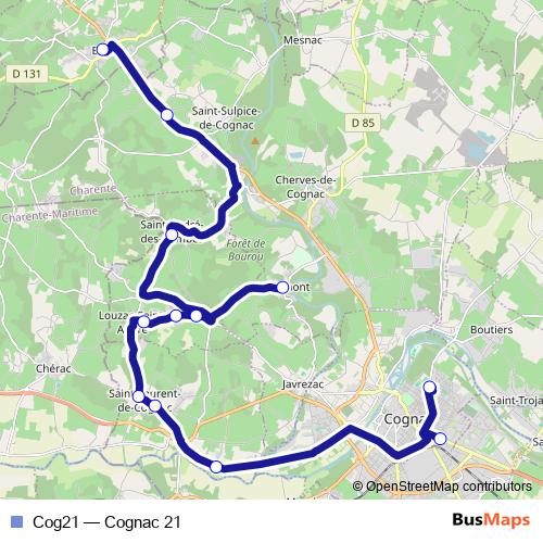 Cog21 bus Line Map