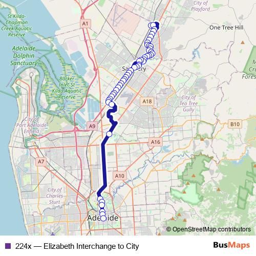 224x bus Line Map