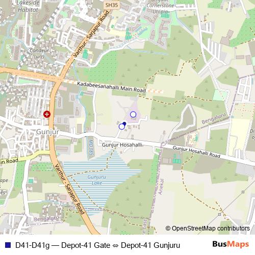 D41-D41g bus Line Map