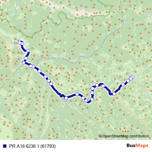 PR A18 6238 1 (61793) bus Line Map