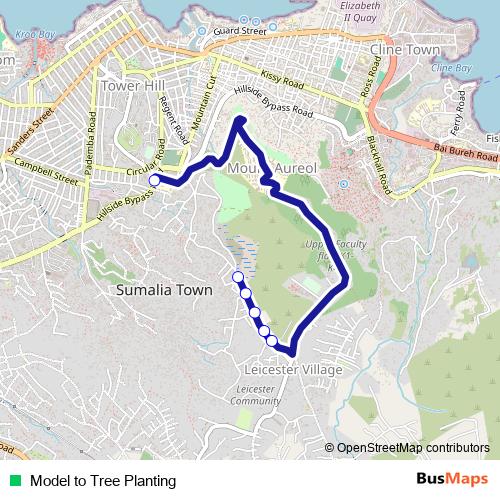 Model to Tree Planting bus Line Map