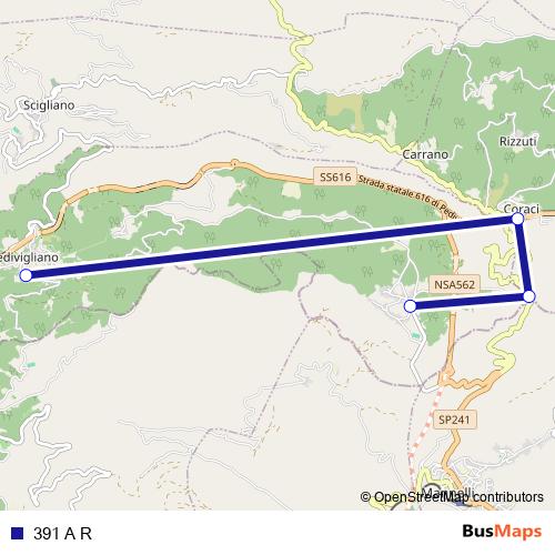 391 A R bus Line Map