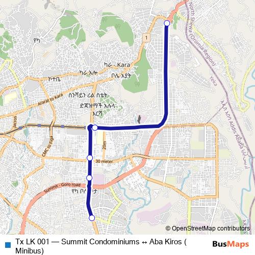 Tx LK 001 bus Line Map