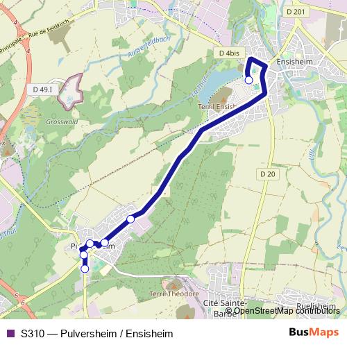 S310 bus Line Map
