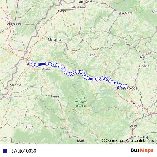 R Auto10036 bus Line Map