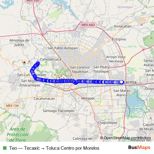 Teo bus Line Map