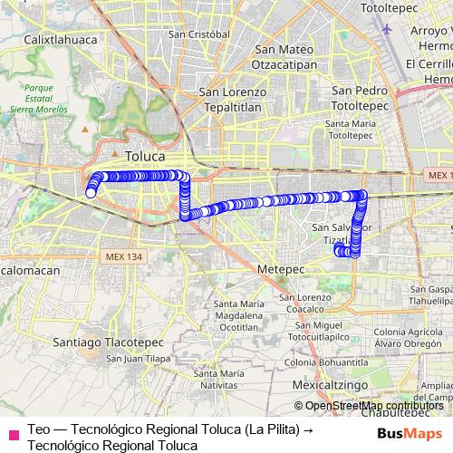 Teo bus Line Map