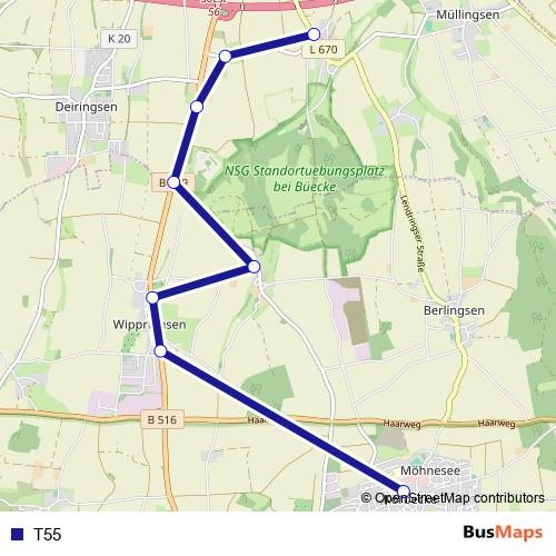 T55 bus Line Map