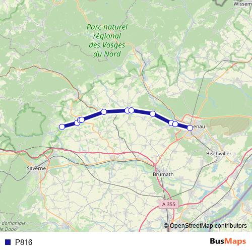 P816 bus Line Map