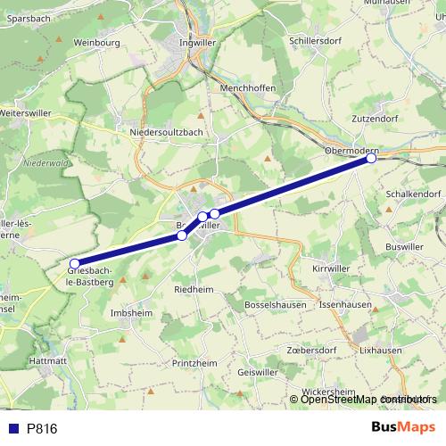 P816 bus Line Map