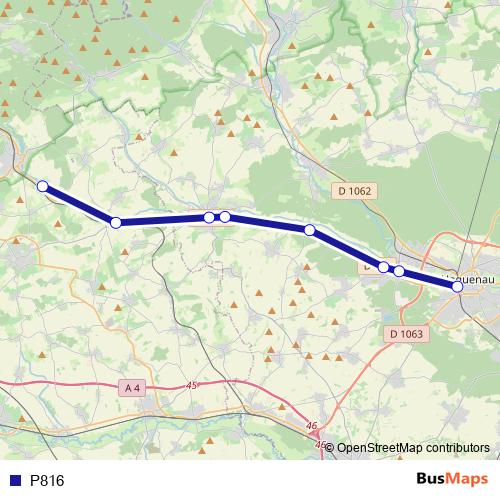 P816 bus Line Map