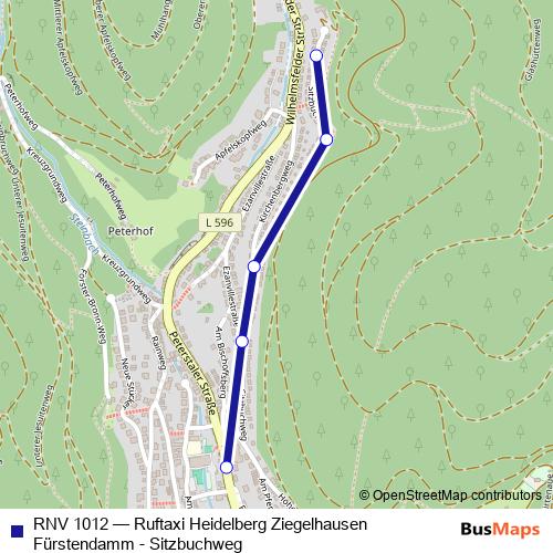 RNV 1012 bus Line Map