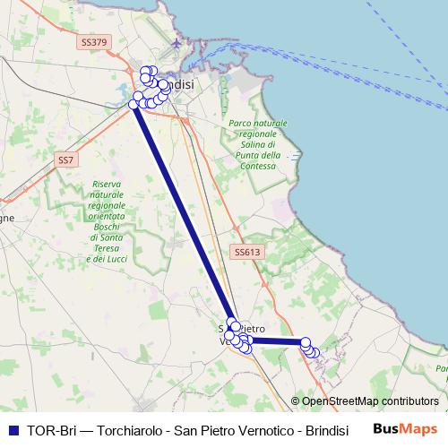 TOR-Bri bus Line Map