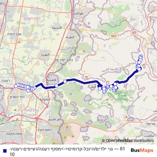 81 bus Line Map