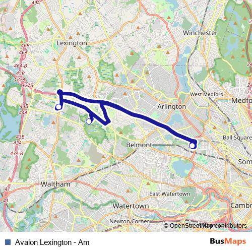 Avalon Lexington - Am bus Line Map