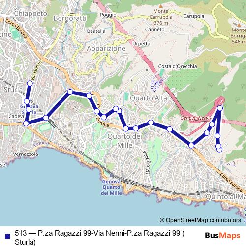 513 bus Line Map