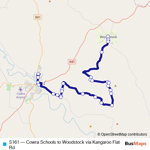 S161 bus Line Map
