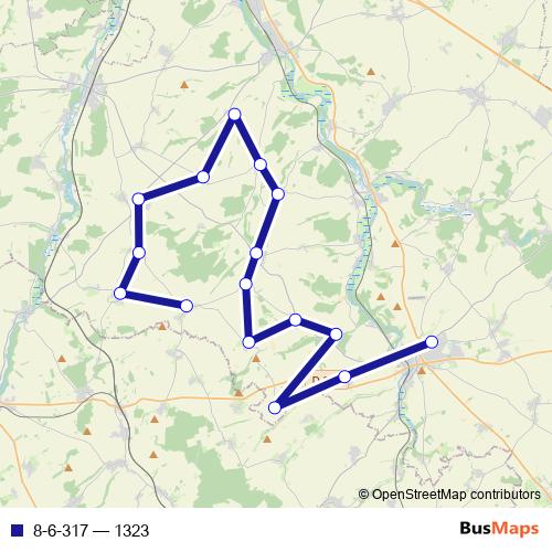 8-6-317 bus Line Map