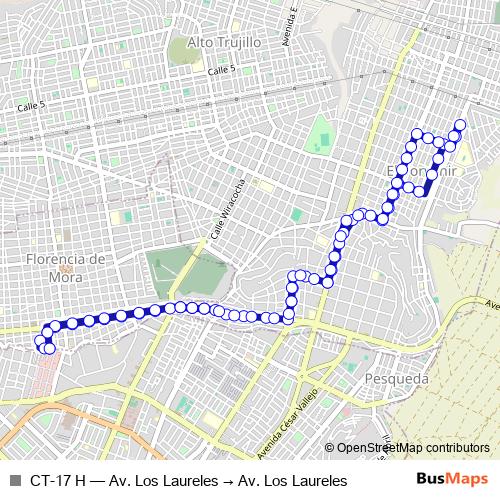 CT-17 H bus Line Map