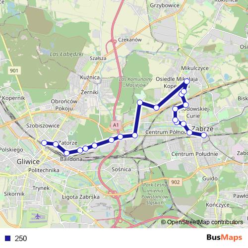250 bus Line Map