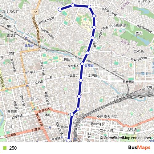 250 bus Line Map