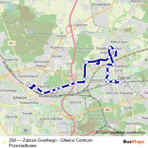 250 bus Line Map