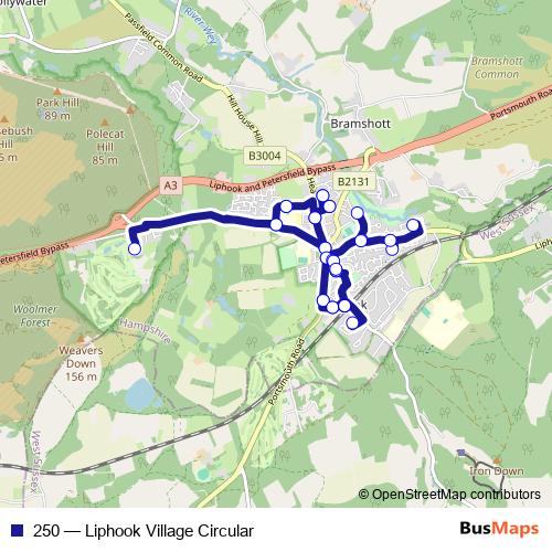 250 bus Line Map