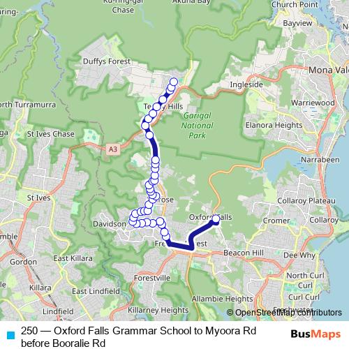 250 bus Line Map