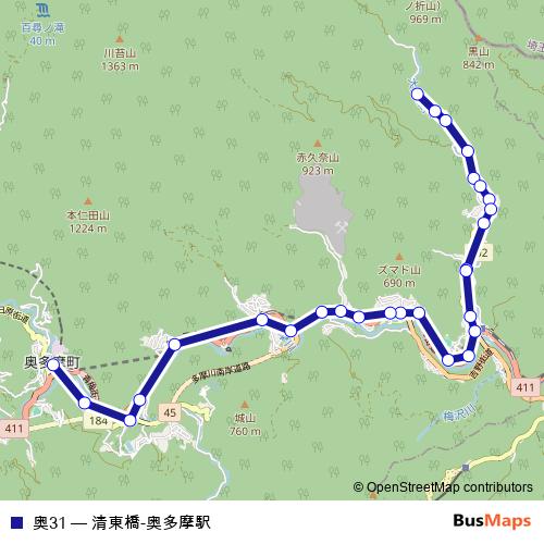 奥31 bus Line Map
