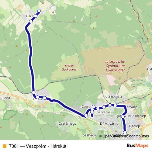 7381 bus Line Map