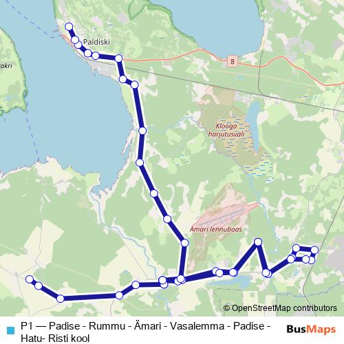 P1 bus Line Map
