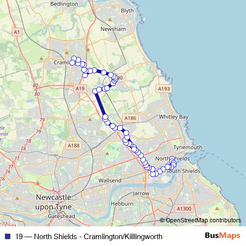 19 bus Line Map