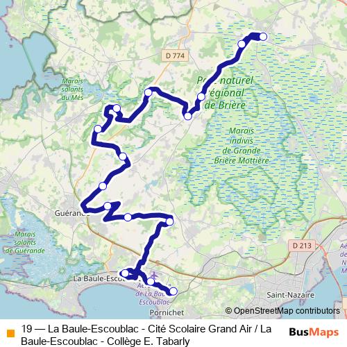 19 bus Line Map