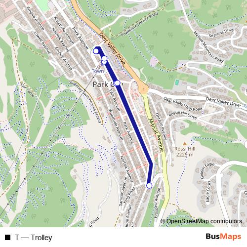 T bus Line Map
