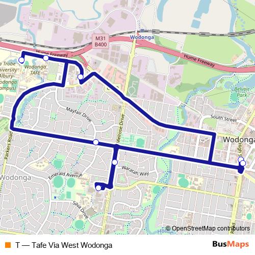 T bus Line Map