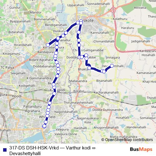 317-DS DSH-HSK-Vrkd bus Line Map