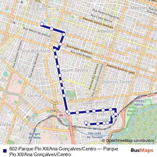 602-Parque Pio XII/Ana Gonçalves/Centro bus Line Map