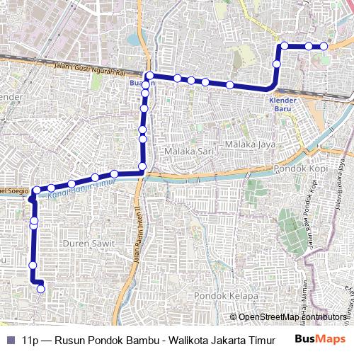 11p bus Line Map