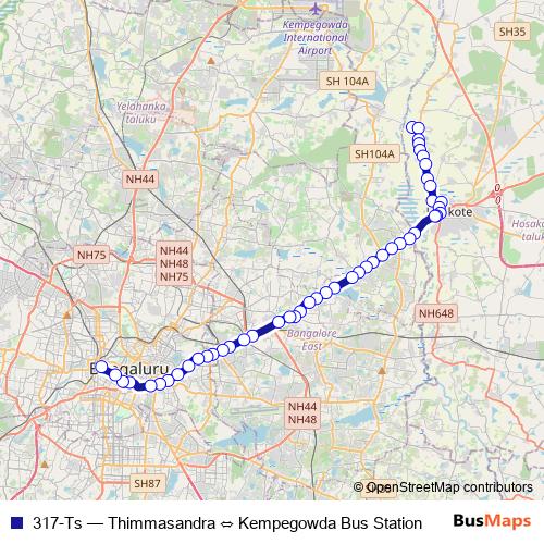 317-Ts bus Line Map