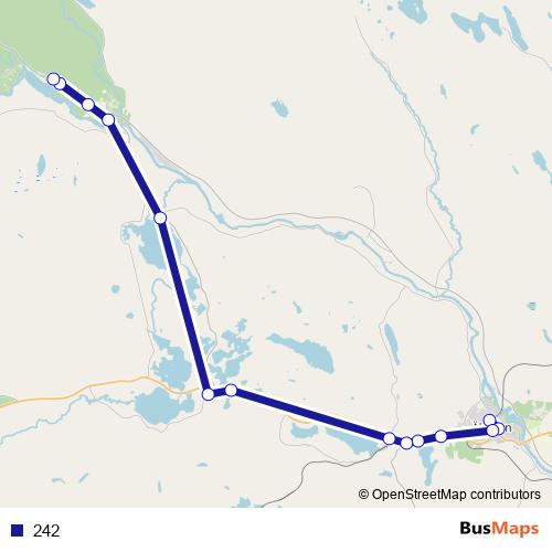 242 bus Line Map