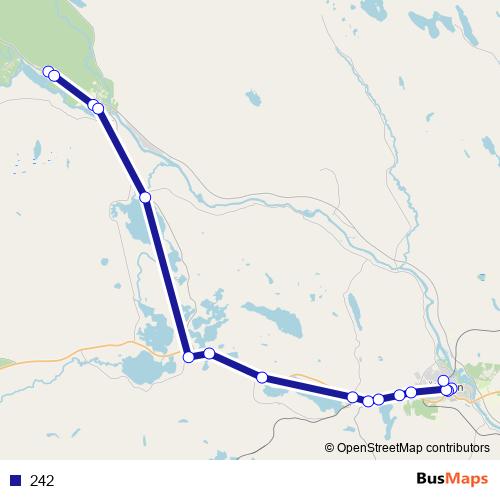 242 bus Line Map