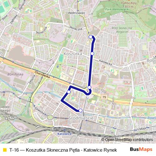 T-16 bus Line Map