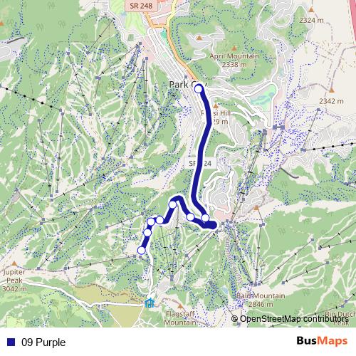 09 Purple bus Line Map