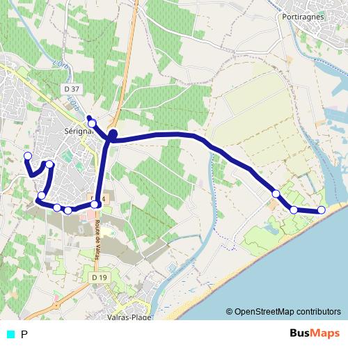 P bus Line Map