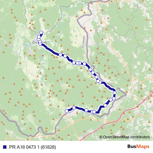 PR A18 0473 1 (61828) bus Line Map