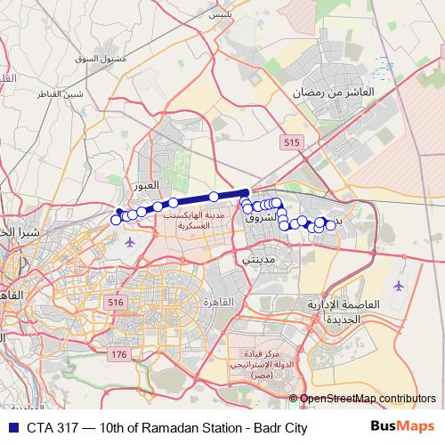 CTA 317 bus Line Map