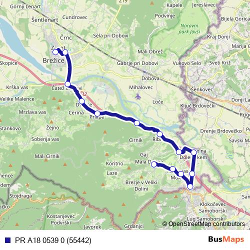 PR A18 0539 0 (55442) bus Line Map