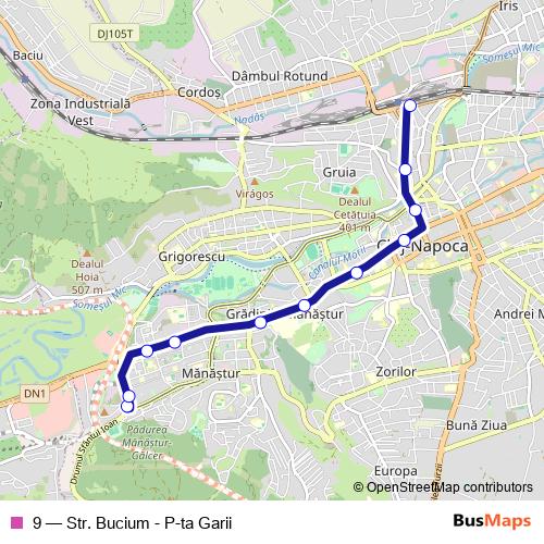 9 bus Line Map